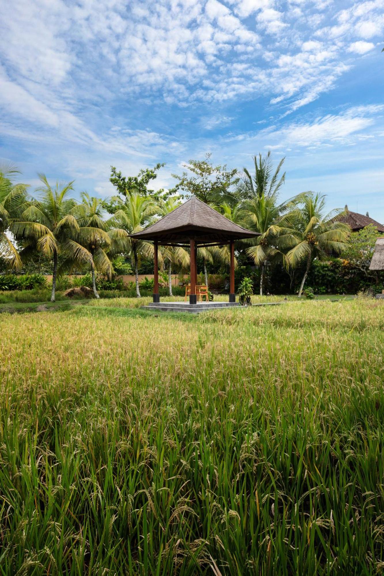 Svarga Bebek Villas Ubud Eksteriør bilde